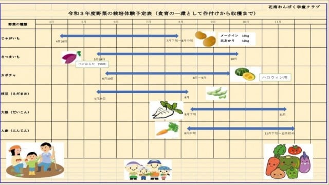 ２０２１年度野菜栽培の体験記録｜社会福祉法人ちひろ会|ぴっころ