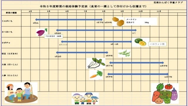 ２０２３年度野菜栽培の体験記録｜社会福祉法人ちひろ会|ぴっころ ...